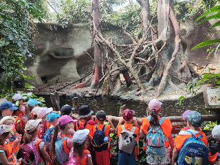 Medvídci, Kočičky - ZOO Praha