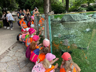 Sovičky - výlet do ZOO