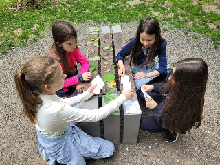 4B - poznávání druhů listů
