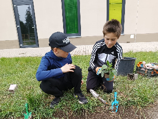 Sázení květin s MROŠem
